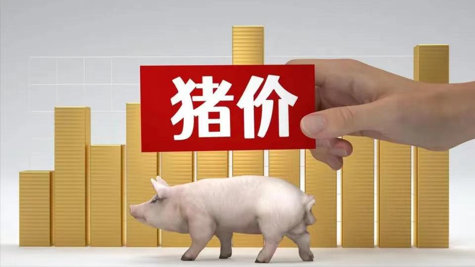 综合日报：9月25日中国商品大猪市场行情综述